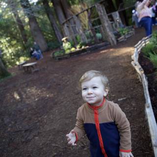 A Stroll Through Thistlewyck