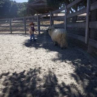 Ranch Adventures in Carmel Valley