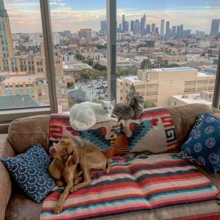 Furry Friends on the Cityscape Couch