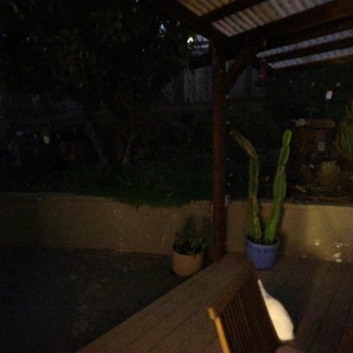 Evening Outdoor Workspace Under Patio Cover