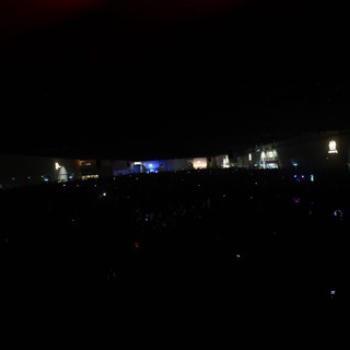 Massive Crowd Gathered at Wobbleland Festival Night