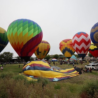 Colorful Hot Air Balloons at Sonoma County Classic