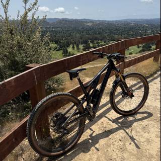Mountain Biking Bliss