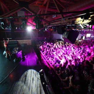 Packed Crowd Surges Under Purple Lights at Wobbleland