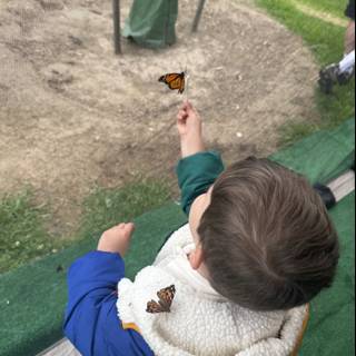 Winged Wonders in Plaza Park
