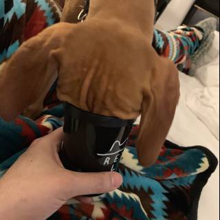Canine Coffee Break