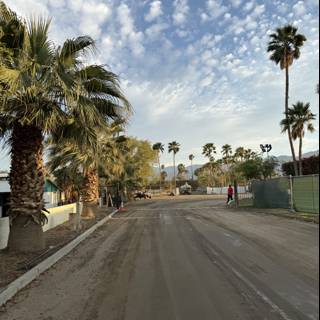 Desert Oasis Pathway