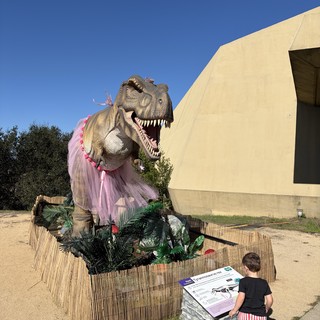 dinosaur park or educational outdoor attraction
