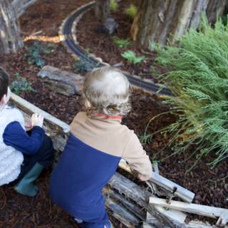 Exploring the Woodland Wonder