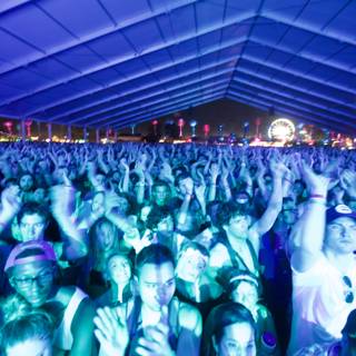 Crowd goes wild at Coachella music festival