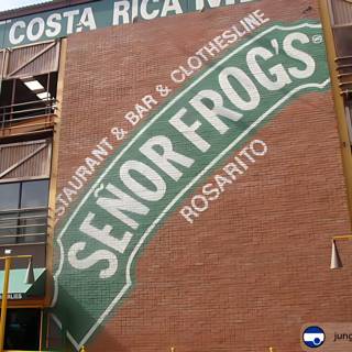 Senior Frogs Building Sign in Ensenada