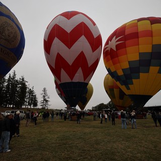 Colorful Hot Air Balloons Ready for Liftoff at Festival