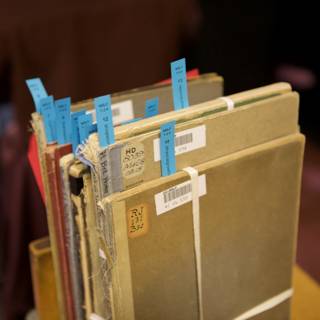 Organized Files