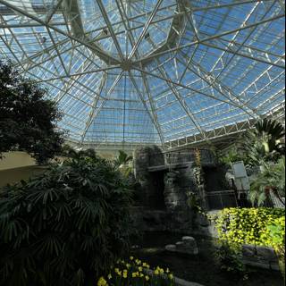 Oasis under the Glass Dome