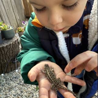 Curious Discoveries