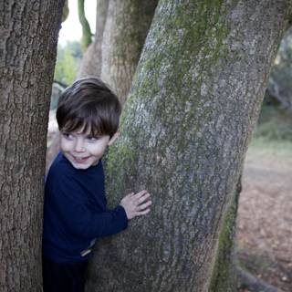Hide and Seek Delight
