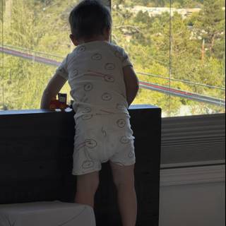 Curious Little Explorer