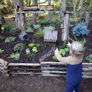 Whimsical Gardens and Miniature Trains