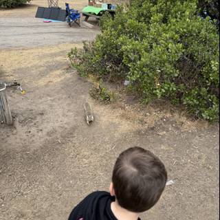 Curious Encounters in Cambria