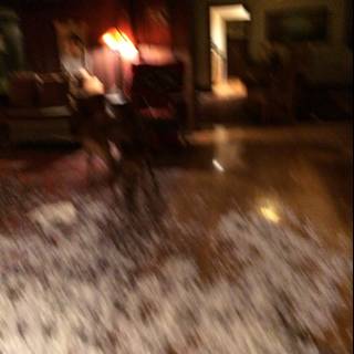 Furry friend enjoys indoor nature walk during hail storm