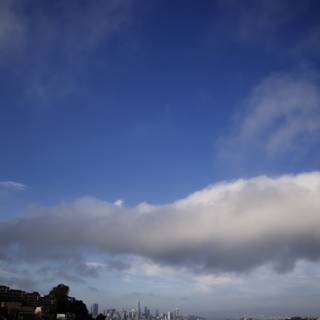 Hilltop Perspective: San Francisco Cityscape