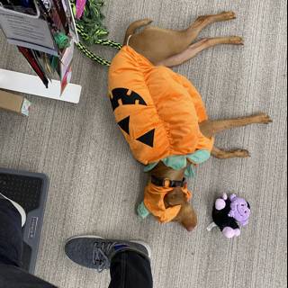 Halloween Pup on the Floor