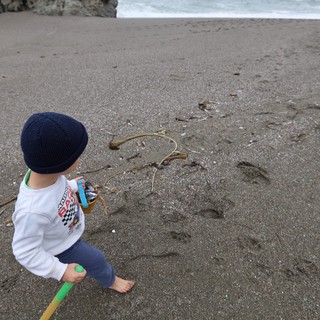 Little Explorer Discovers Treasures on Sandy Beach