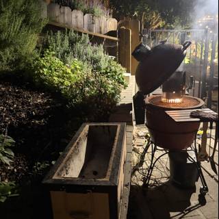 Evening Serenity in the Backyard Garden
