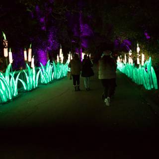 Enchanting Night Walk at the Glowfari Oakland Zoo