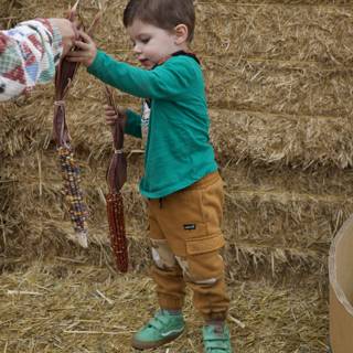 Harvest Days in Walnut Creek