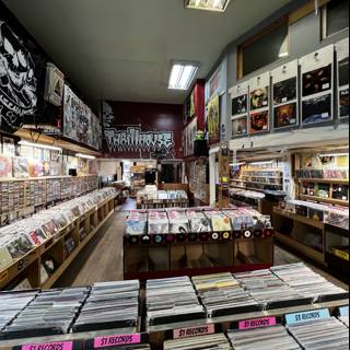 A Record Store Paradise