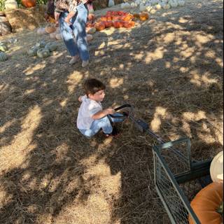 Autumn Harvest Fun