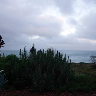 A Glimpse of the Ocean from the Hillside