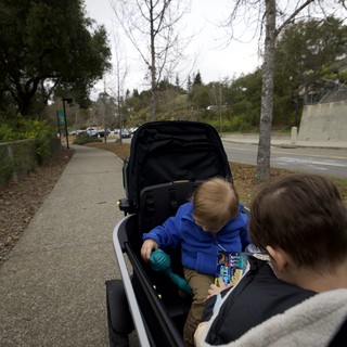 Family Bike Ride on a Quiet Suburban Path