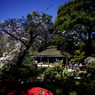 Serenity in the Japanese Garden