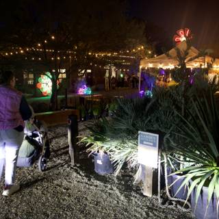 Strolling Through the Garden of D'Lights