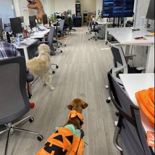 Halloween Pup in the Office