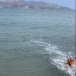 Splashing in the San Francisco Sea