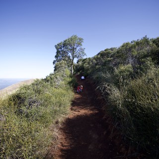 Children Exploring a Ridge Trail on Mount Diablo
