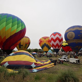 Colorful Hot Air Balloons Fill the Morning Sky