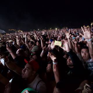 Euphoric Crowd at Coachella 2012