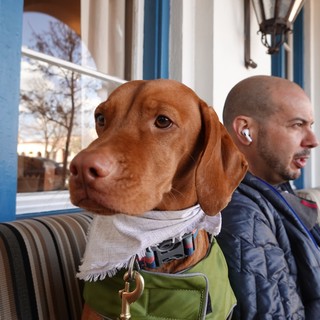 Dog and Owner Relaxing at Outdoor Cafe