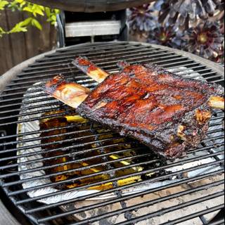 BBQ Spareribs on the Grill