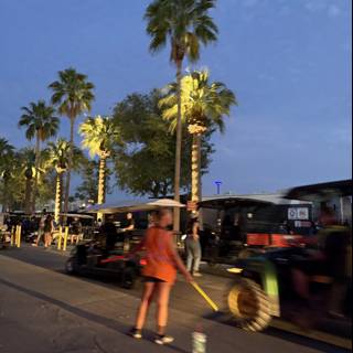 Evening Stroll Under the Palms