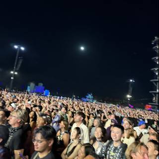 Under the Moonlit Groove