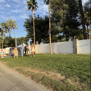 Strolling Under the Palms