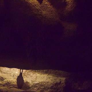 Cave Explorer: Nature's Whisper in Shadows