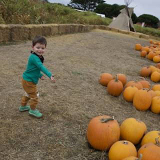 Harvest Joy