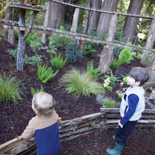 Exploring the Enchanted Garden