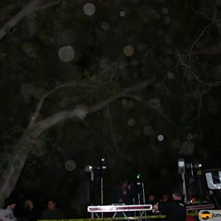 Tree-Lit Night Concert